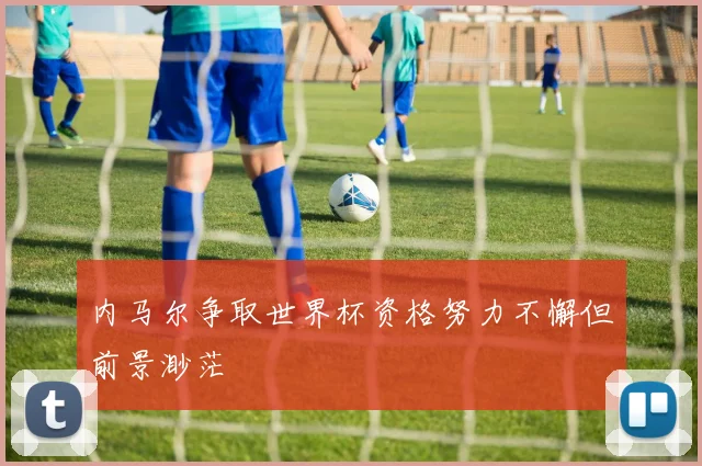 内马尔争取世界杯资格努力不懈但前景渺茫