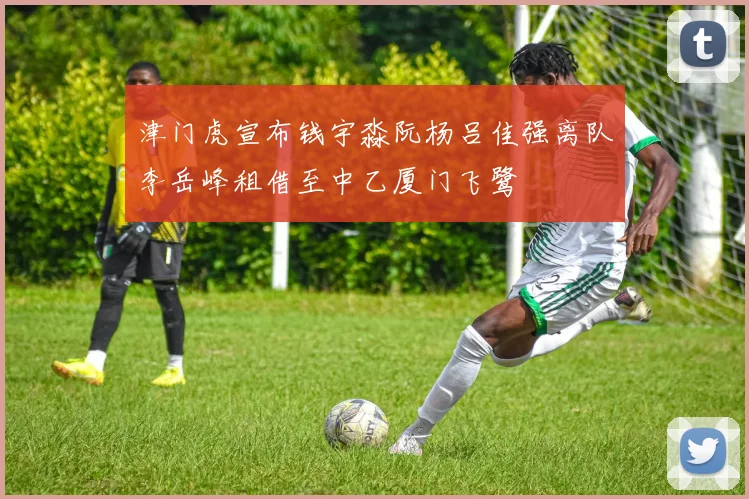 津门虎宣布钱宇淼阮杨吕佳强离队李岳峰租借至中乙厦门飞鹭